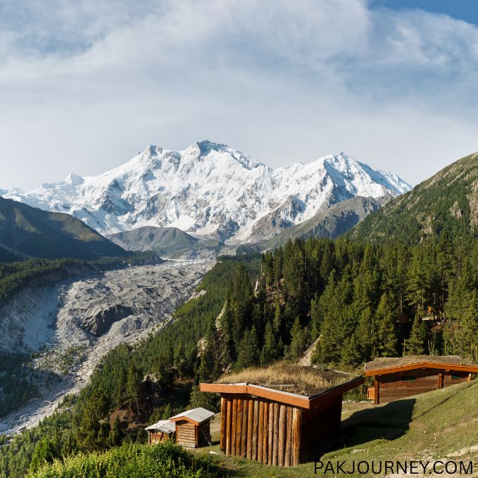Fairy Meadows