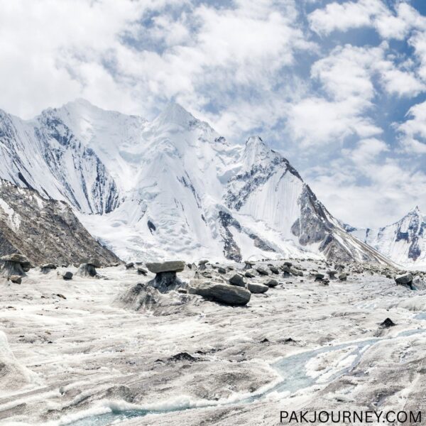 Chogolisa (7,665m) Expedition