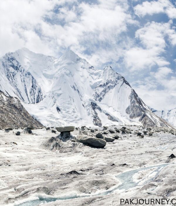 Chogolisa (7,665m) Expedition