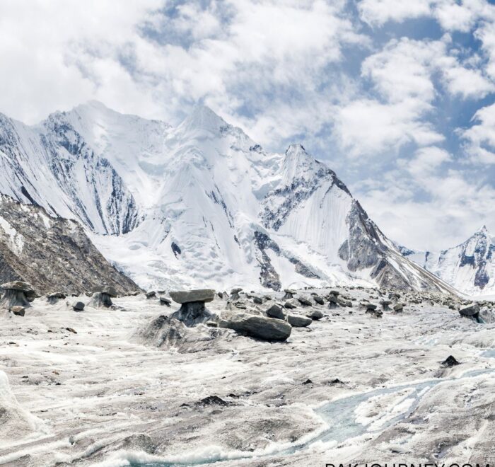 Chogolisa (7,665m) Expedition
