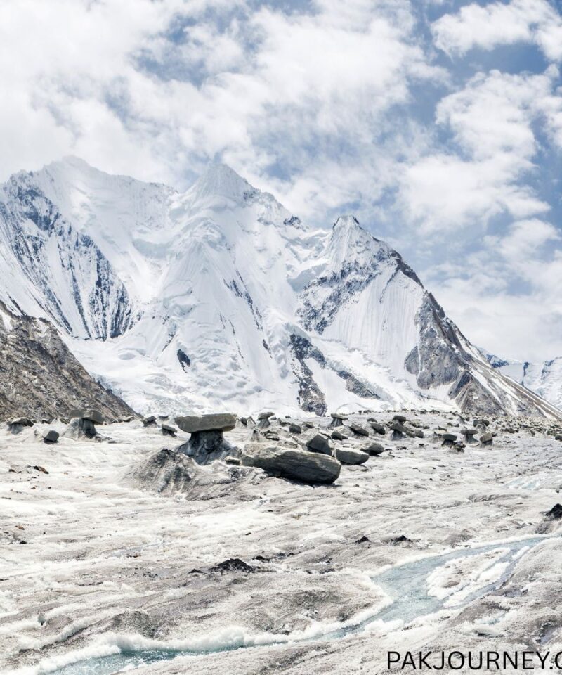 Chogolisa (7,665m) Expedition