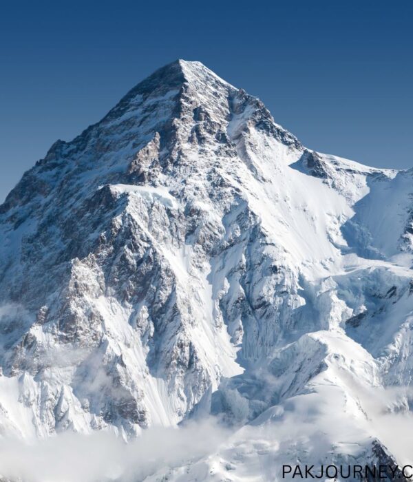 K2 Expedition (8611m)