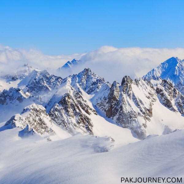 Latok & Ogre Peaks Expedition