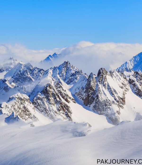 Latok & Ogre Peaks Expedition