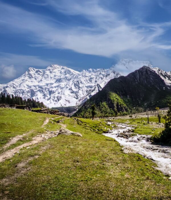 Nanga Parbat Mazeno Pass Trek Tour