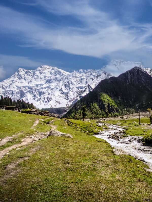 Nanga Parbat Mazeno Pass Trek Tour