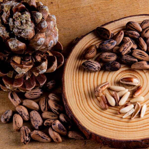 Pine Nuts (Chilgoza) Price in Pakistan