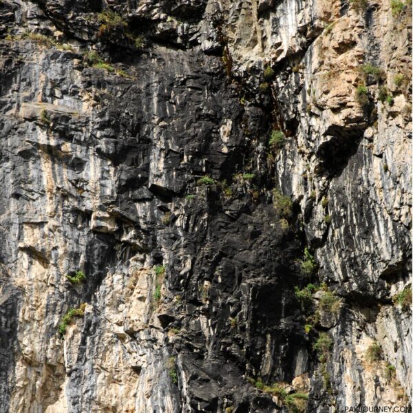 Shilajit - Image 2