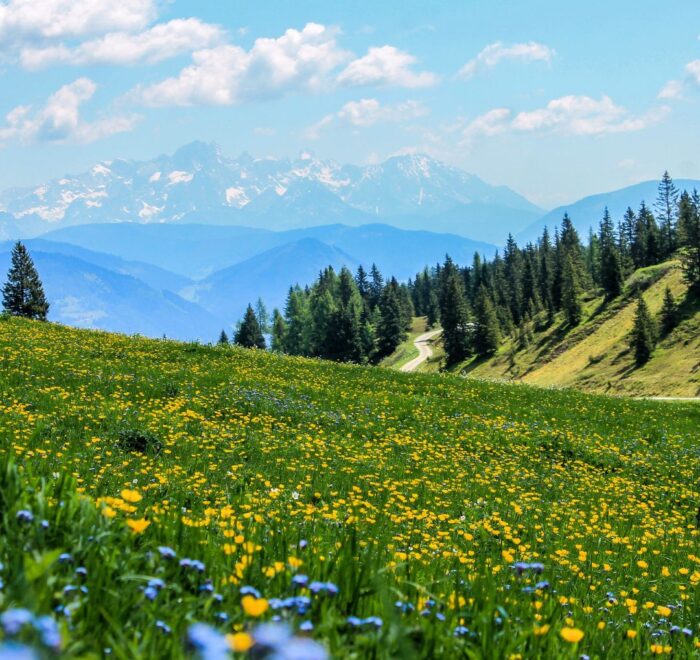 Siran Valley Mansehra Pakistan