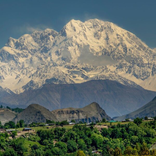 Tirich Mir (7,708m) Expedition