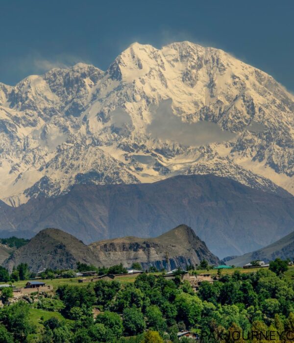 Tirich Mir (7,708m) Expedition