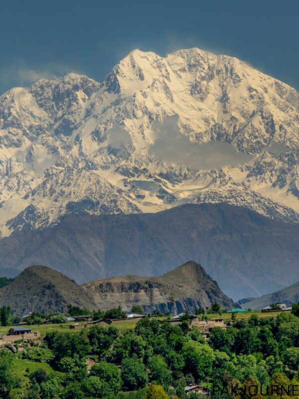 Tirich Mir (7,708m) Expedition