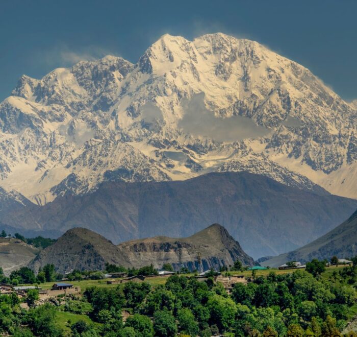 Tirich Mir (7,708m) Expedition