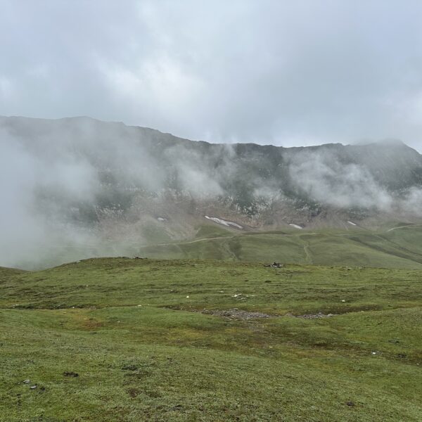 Baboon Valley Kashmir Tour