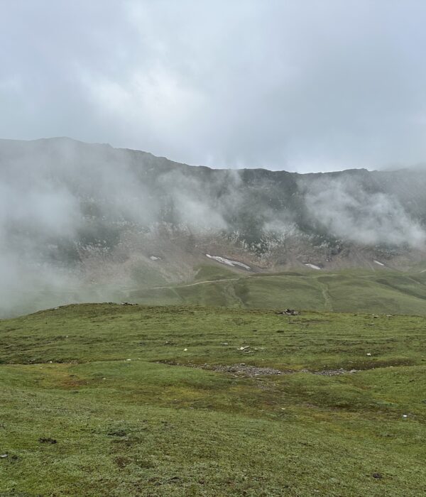 Baboon Valley Kashmir Tour