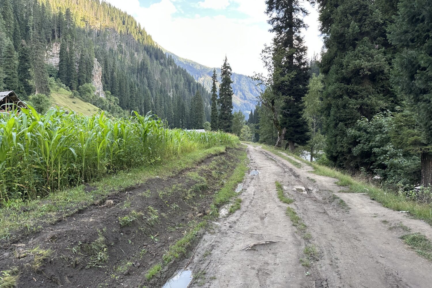 Taobat Neelum Valley Track