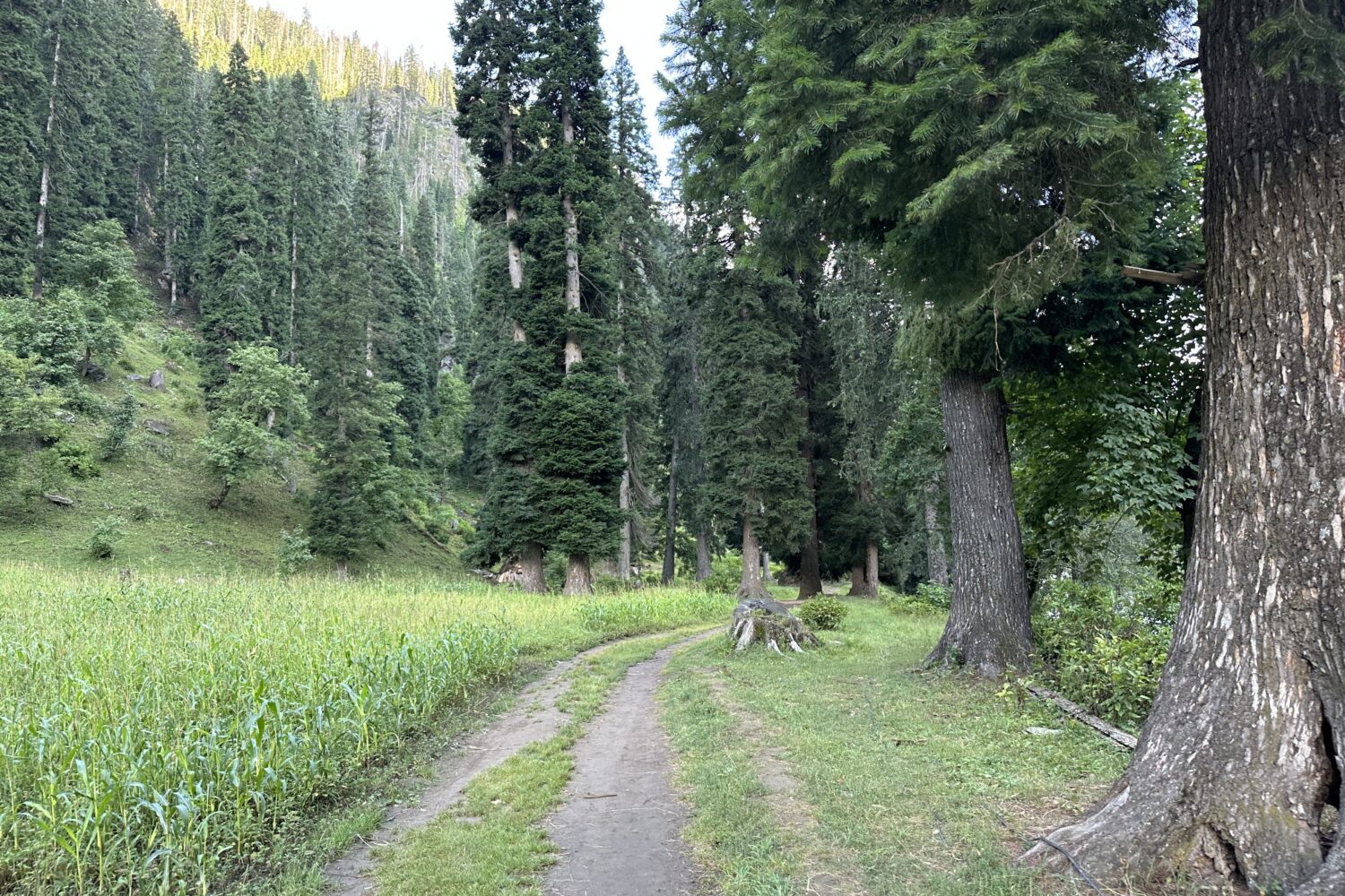 Taobat Neelum Valley
