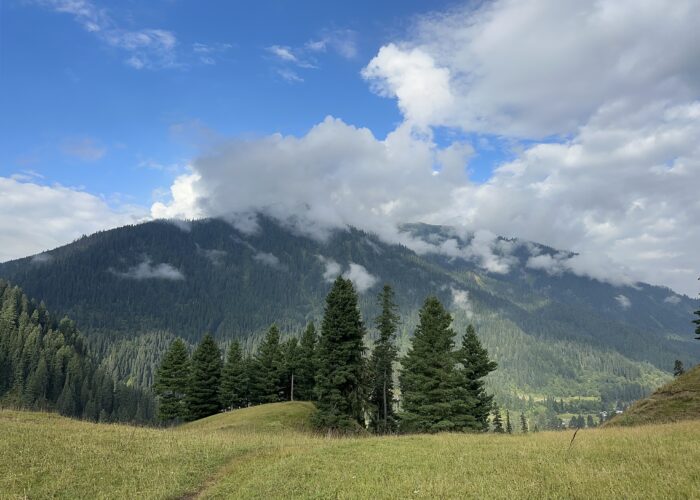 Musk Deer Wild Life Park Kashmir Pakistan