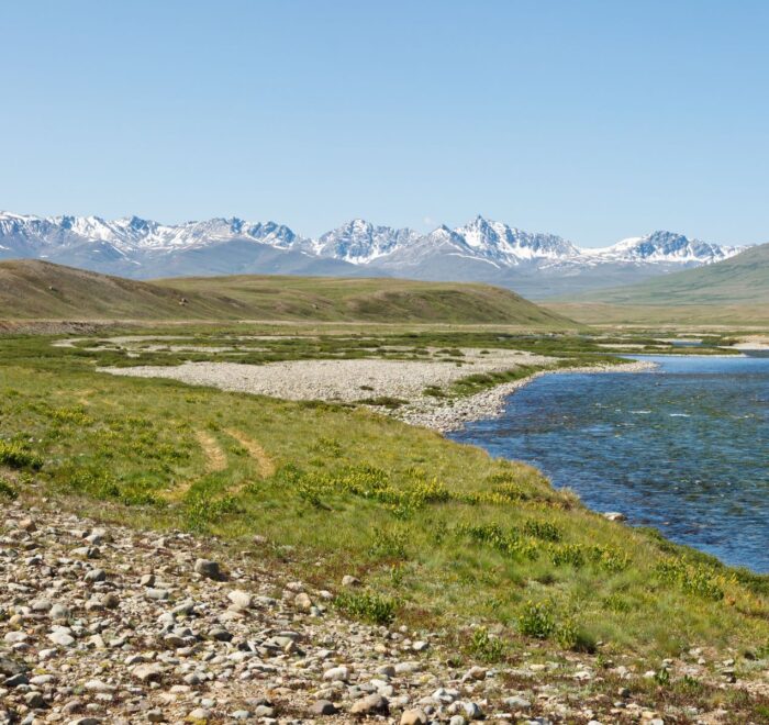 Meadows of Northern Pakistan
