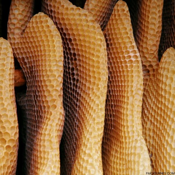 Wild Honey in Pakistan
